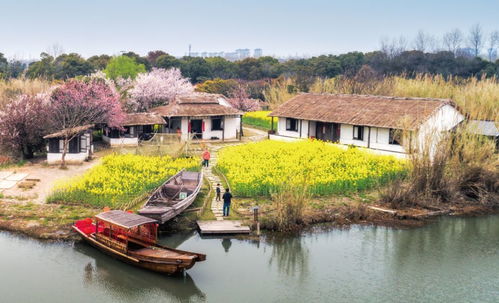 徐報(bào)融媒帶您 春游 了③ 春暖花開,別來無恙
