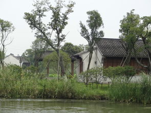 蘆蕩火種 沙家浜一日游